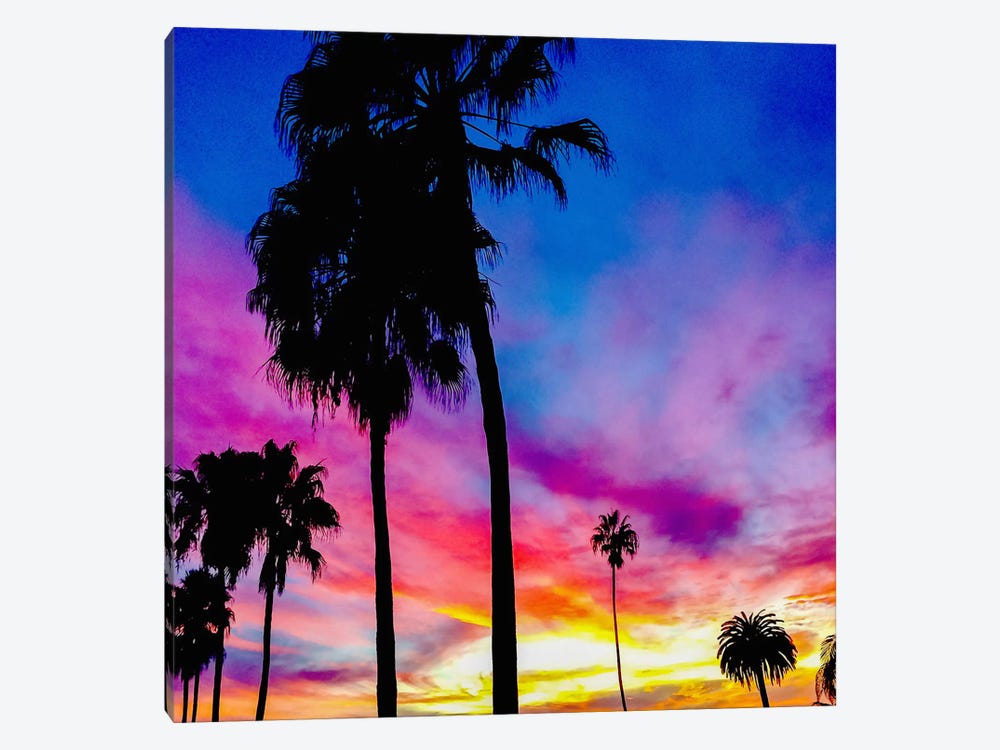 Painted Skies Above the Palms by 5by5collective 1-piece Canvas Artwork