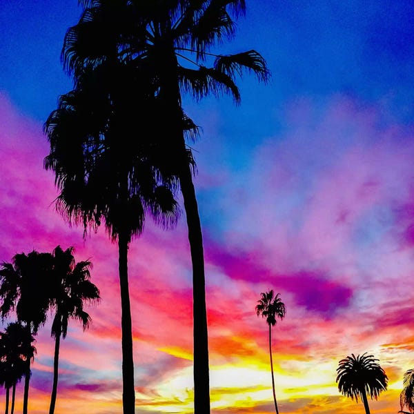 Blue: Painted Skies Above the Palms by 5by5collective
