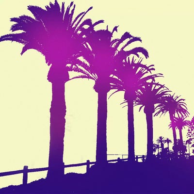 Midnight Purple Palms by 5by5collective canvas print
