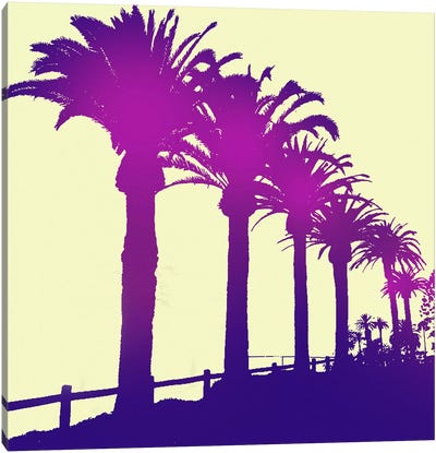 Midnight Purple Palms Canvas Art Print