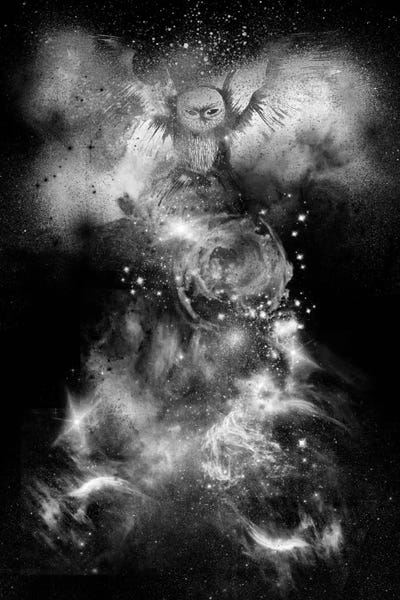 King of the Mountain by 5by5collective canvas print