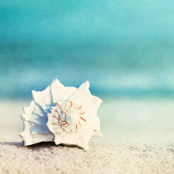 Carolyn Cochrane: Paradise by Carolyn Cochrane