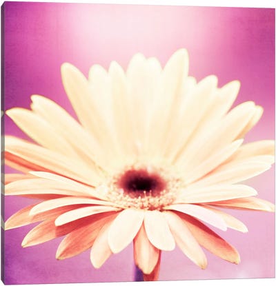 Peachy Keen Canvas Art Print - Fun Florals