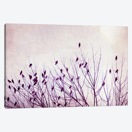 The Pause that Refreshes Canvas Print #ICS145} by Carolyn Cochrane Canvas Wall Art