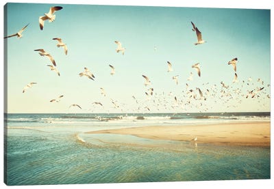 Freedom Canvas Art Print - Scenic & Nature Photography