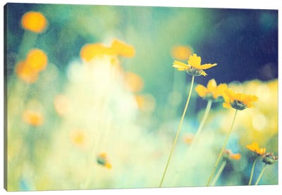In the Meadow Canvas Art Print