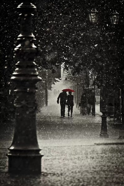 Rain: Fragments of Water by Stefano Corso