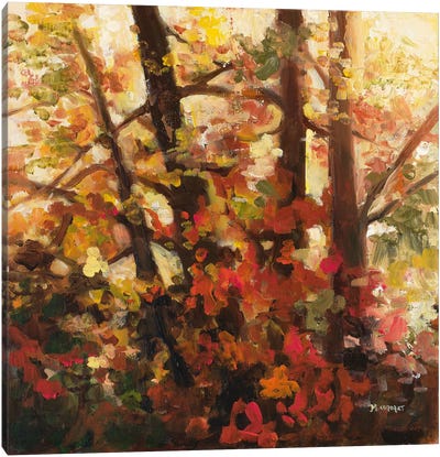 Backlit Leaves III Canvas Art Print - Scenic Fall