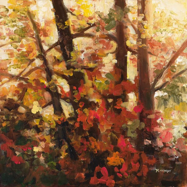 Tree Close-Ups: Backlit Leaves III by Michelle Condrat