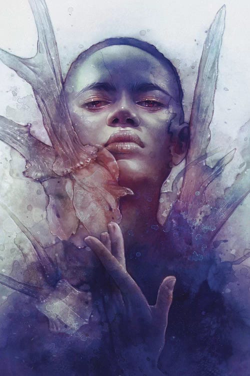 Prey by Anna Dittmann wall art