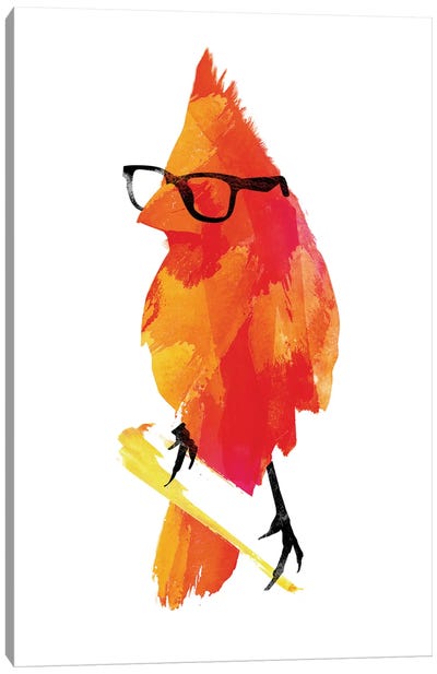 Punk Bird Canvas Art Print - Cardinal Art
