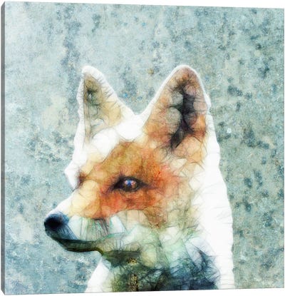 Abstract Fox Canvas Art Print