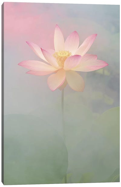 Pink Passion Canvas Art Print - Lotuses
