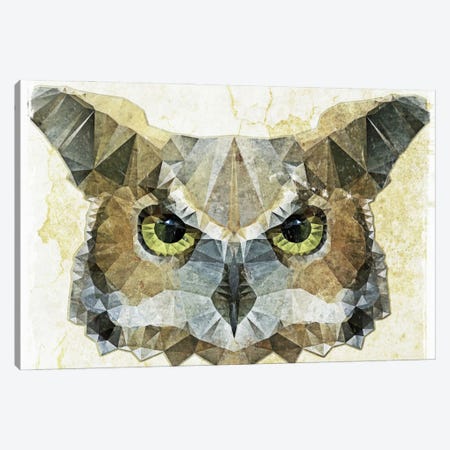 Abstract Owl Canvas Print #ICS21} by Ancello Canvas Art Print