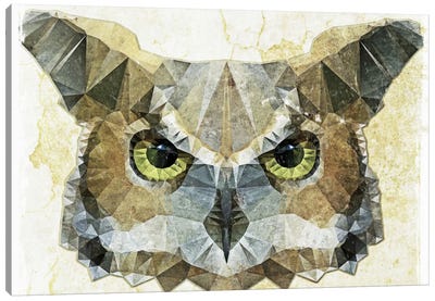 Abstract Owl Canvas Art Print