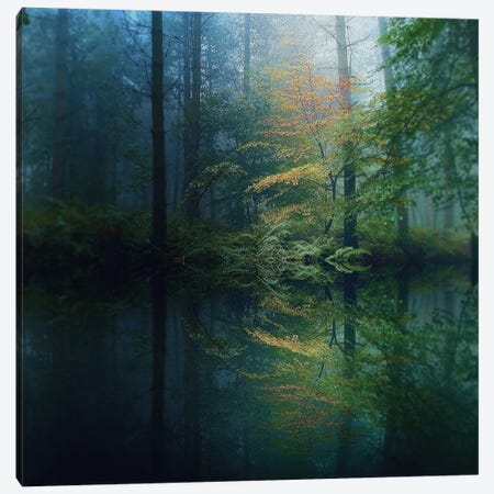 The Forest Canvas Print #ICS220} by Adelino Goncalves Canvas Art