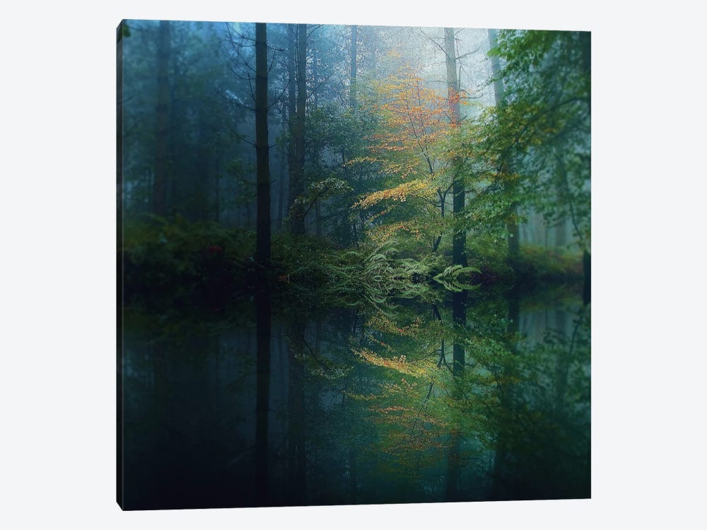 The Forest by Adelino Goncalves 1-piece Canvas Art Print