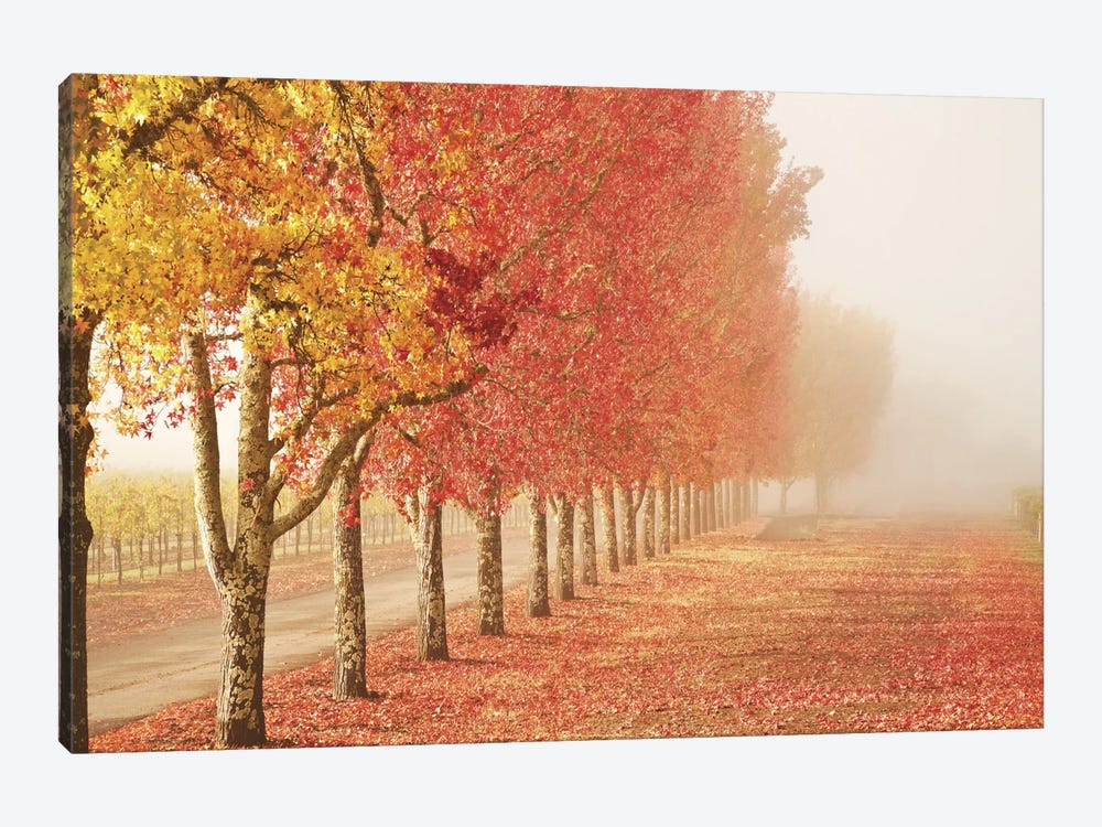 Fall Trees in the Mist 1-piece Art Print