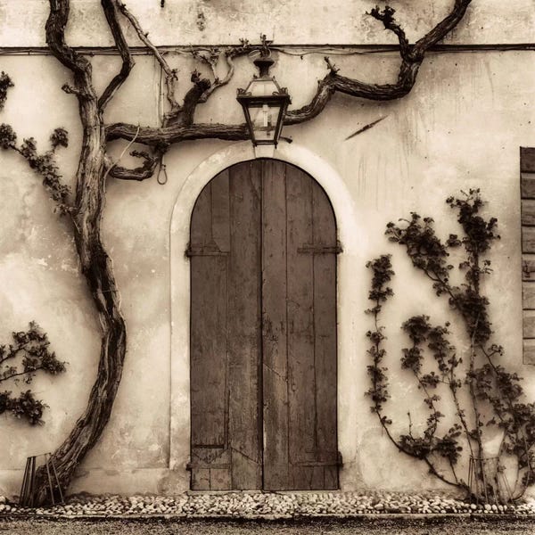 Alan Blaustein: Bassano del Grappa, Vincenzo by Alan Blaustein