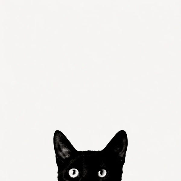 Kids Animal Art: Curiosity by Jon Bertelli