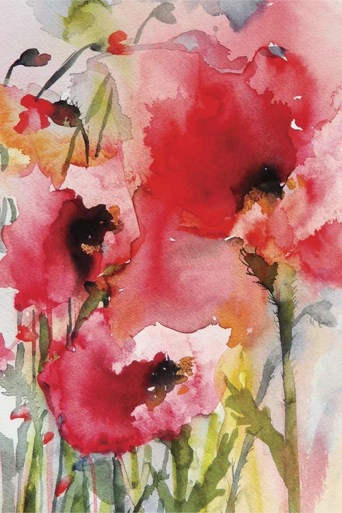 Summer Poppies by Karin Johannesson wall art