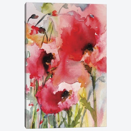 Summer Poppies Canvas Print #ICS274} by Karin Johannesson Canvas Art