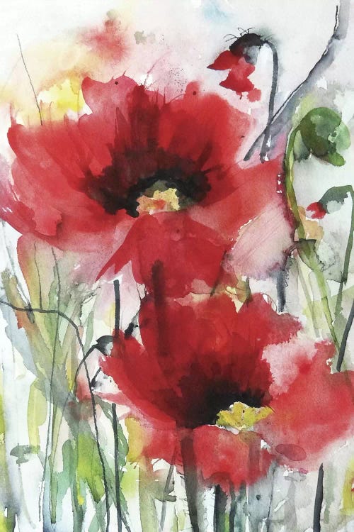 Red Poppies