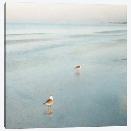 Two Birds on Beach Canvas Print #ICS280} by John Juracek Canvas Art