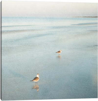 Two Birds on Beach Canvas Art Print