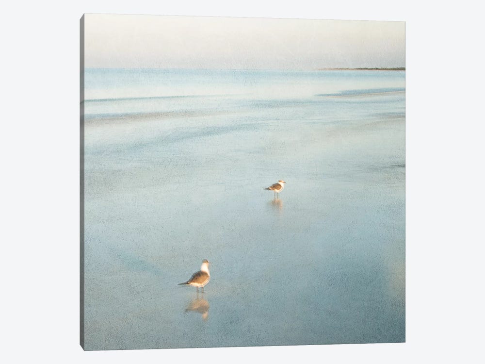 Two Birds on Beach by John Juracek 1-piece Canvas Art Print