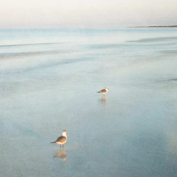 Two Birds on Beach