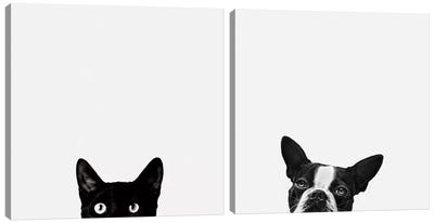 Curiosity and Loyalty Diptych Canvas Art Print - Black & White Animal Art