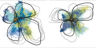 Azure Petals Diptych