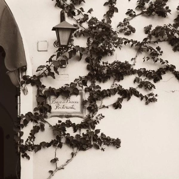 Alan Blaustein: Buca di Bacco, Ristorante by Alan Blaustein