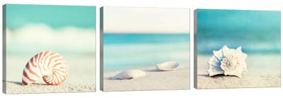 Paradise Triptych Canvas Art Print - Sea Shell Art