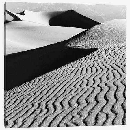 Desert Dunes Canvas Print #ICS409} by PhotoINC Studio Canvas Art
