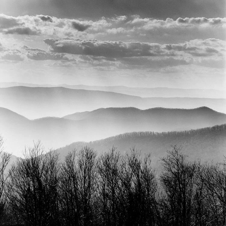 Misty Mountains by PhotoINC Studio wall art