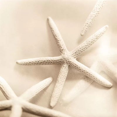 Il Oceano No. 2 by Alan Blaustein canvas print