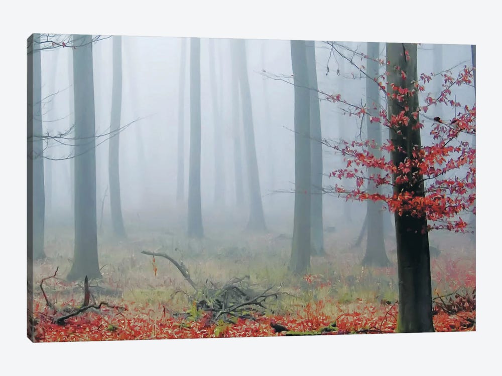 Misty Woods by PhotoINC Studio 1-piece Canvas Print