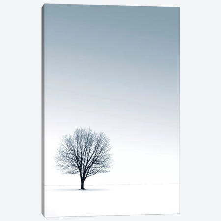 Tree in Winterscape Canvas Print #ICS434} by PhotoINC Studio Canvas Wall Art
