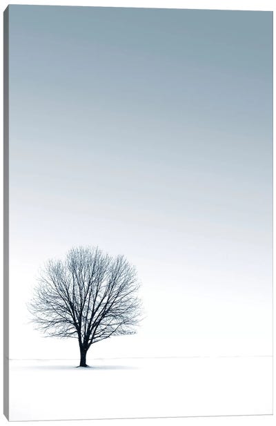 Tree in Winterscape Canvas Art Print