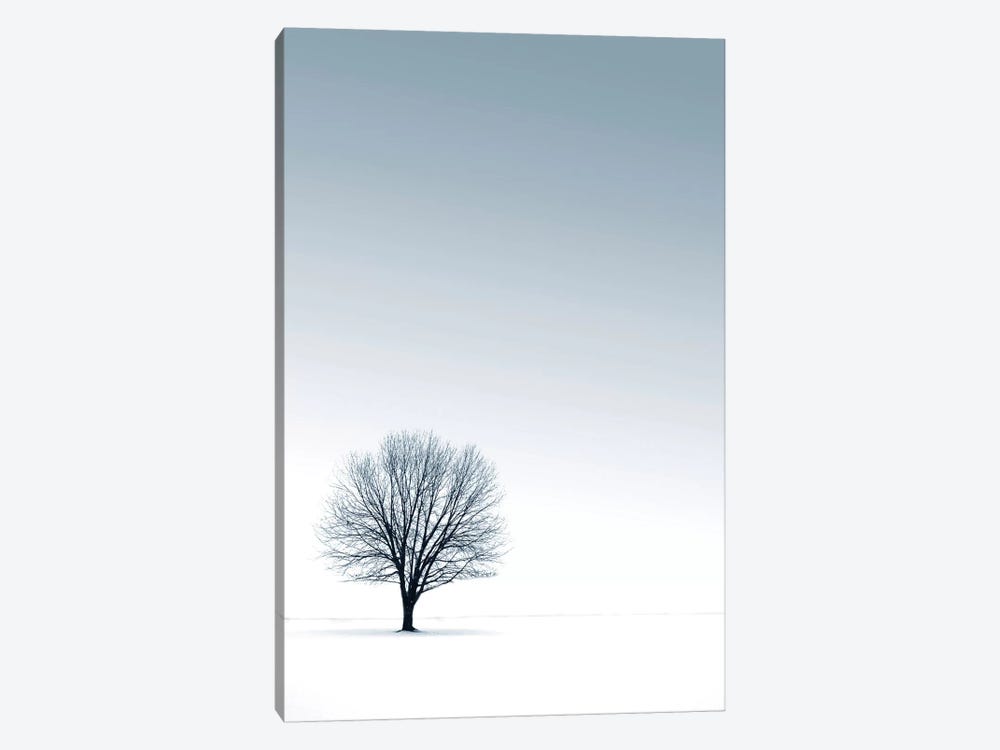 Tree in Winterscape by PhotoINC Studio 1-piece Canvas Art
