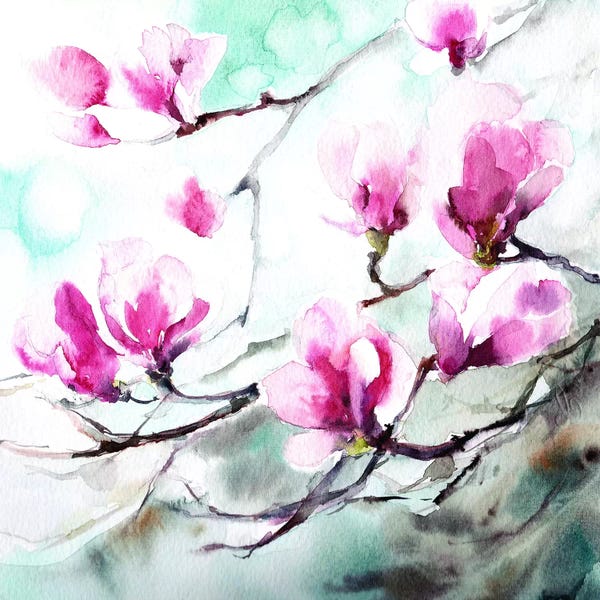 Magnolias: Magnolia Spring by CanotStop
