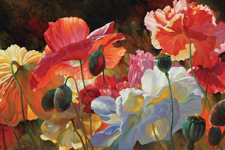 Summer Radiance by Emma Styles wall art