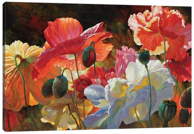 Summer Radiance Canvas Art Print - Poppy Art