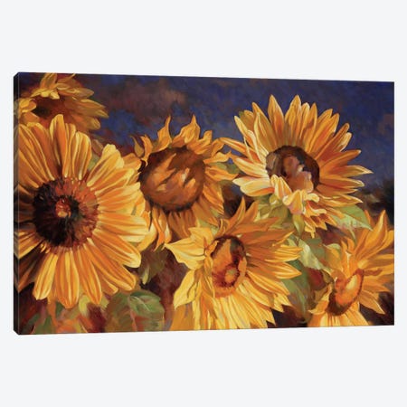 Sunflower Canvas Print #ICS571} by Emma Styles Canvas Art