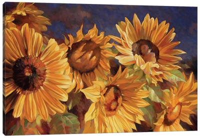Sunflower Canvas Art Print - Garden & Floral Landscape Art