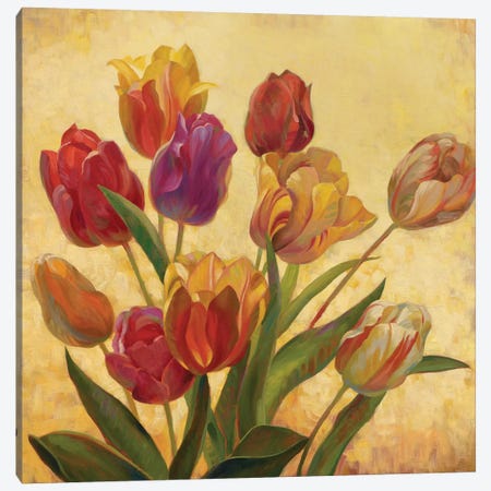 Tulip Bouquet Canvas Print #ICS572} by Emma Styles Canvas Art