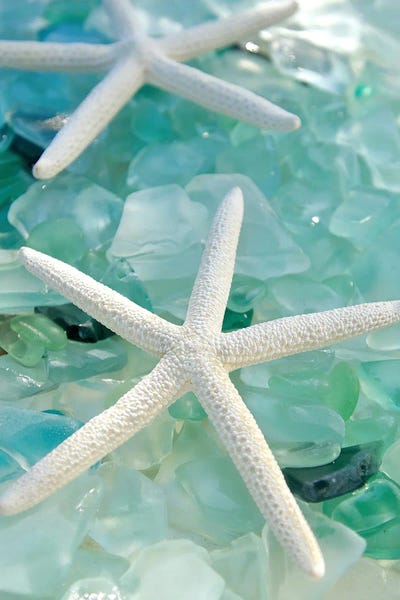Sea Life: Seaglass 1 by Alan Blaustein
