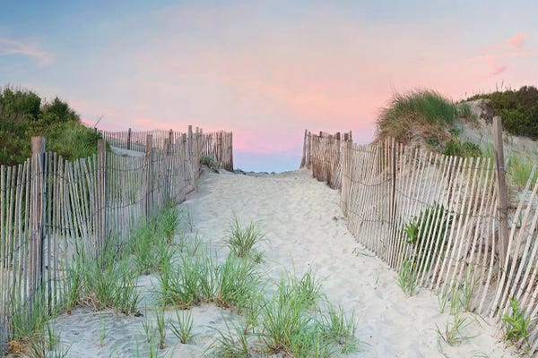 Coastal Sand Dunes: Crescent Beach Path by Katherine Gendreau